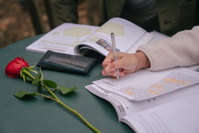 Handgeschriebener Brief und Rose